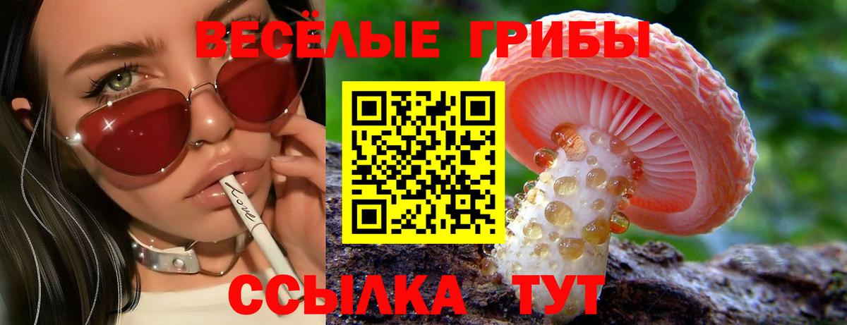 Псилоцибиновые грибы ЛСД Красноуфимск